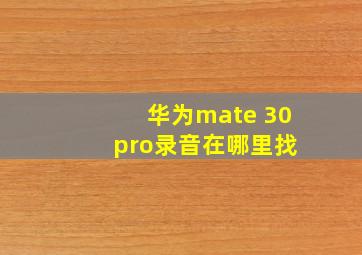 华为mate 30 pro录音在哪里找